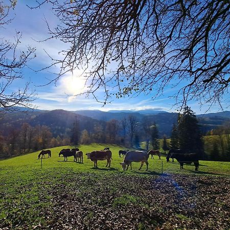 Erlebnisbauernhof Gutschi Ranch Kamp Kültér fotó