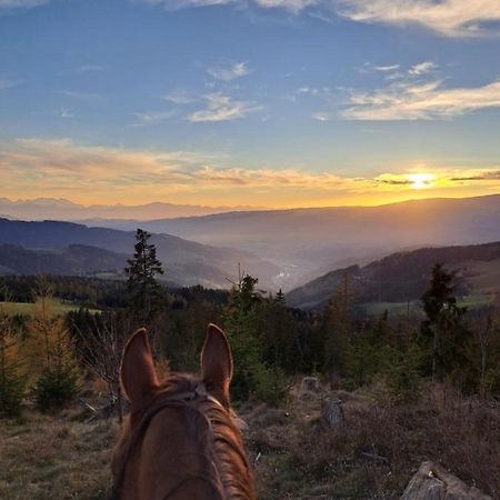 Erlebnisbauernhof Gutschi Ranch Kamp Kültér fotó