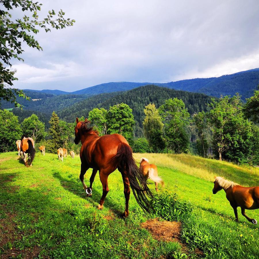 Erlebnisbauernhof Gutschi Ranch Kamp Kültér fotó