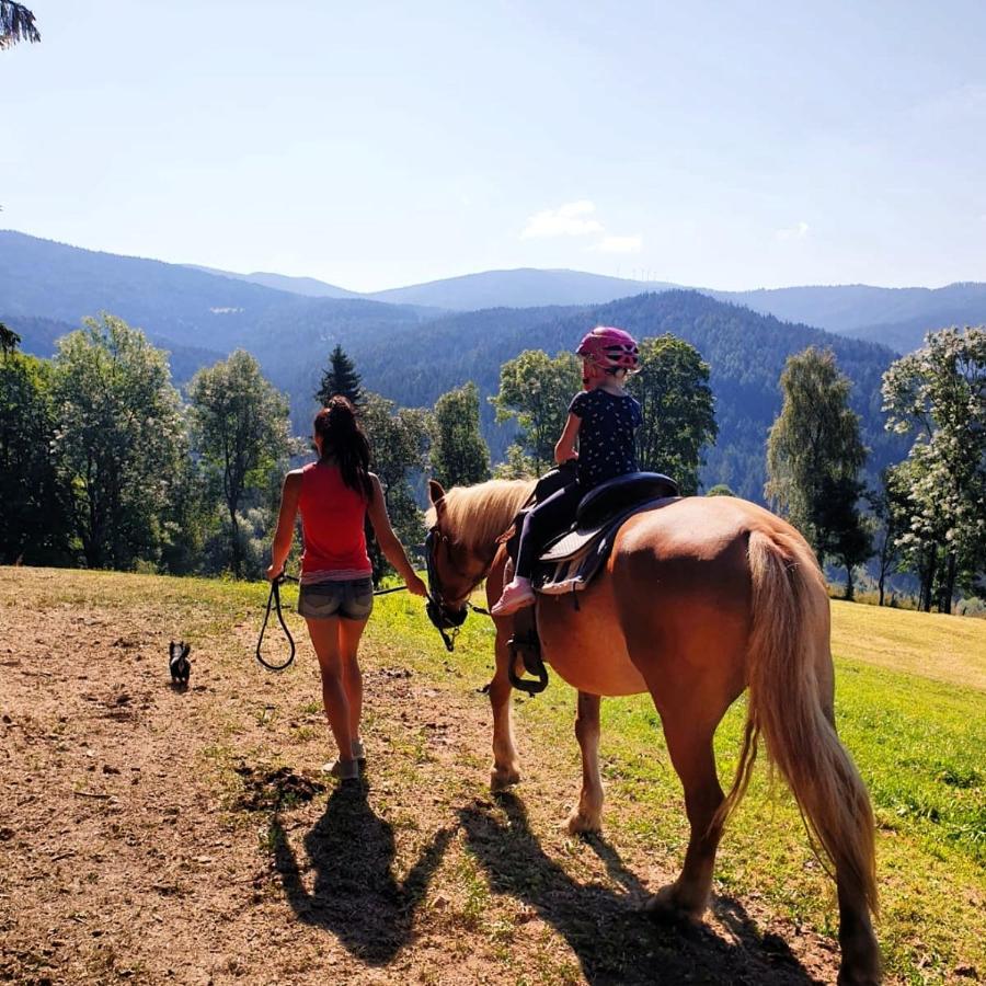 Erlebnisbauernhof Gutschi Ranch Kamp Kültér fotó