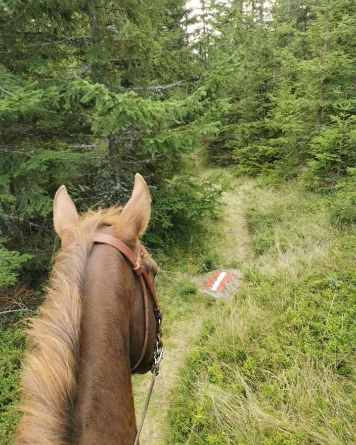 Erlebnisbauernhof Gutschi Ranch Kamp Kültér fotó