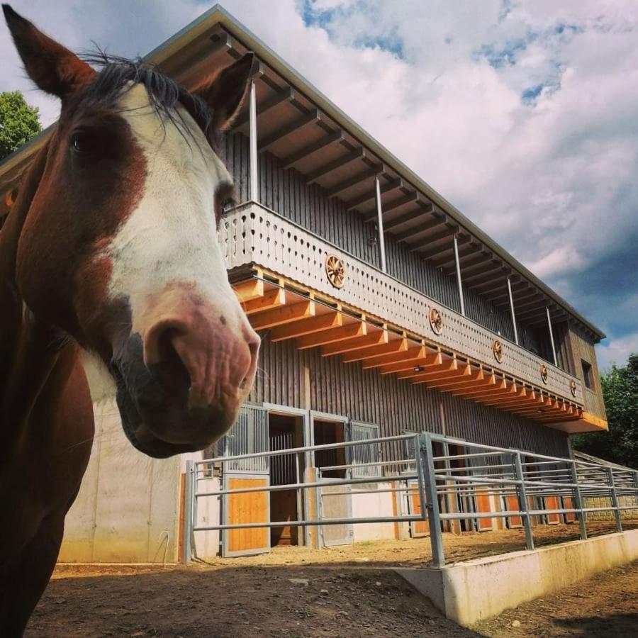 Erlebnisbauernhof Gutschi Ranch Kamp Kültér fotó