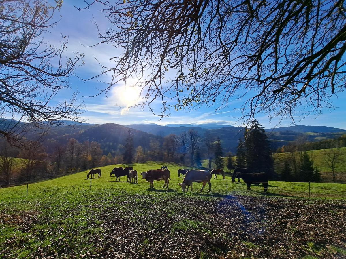 Erlebnisbauernhof Gutschi Ranch Kamp Kültér fotó