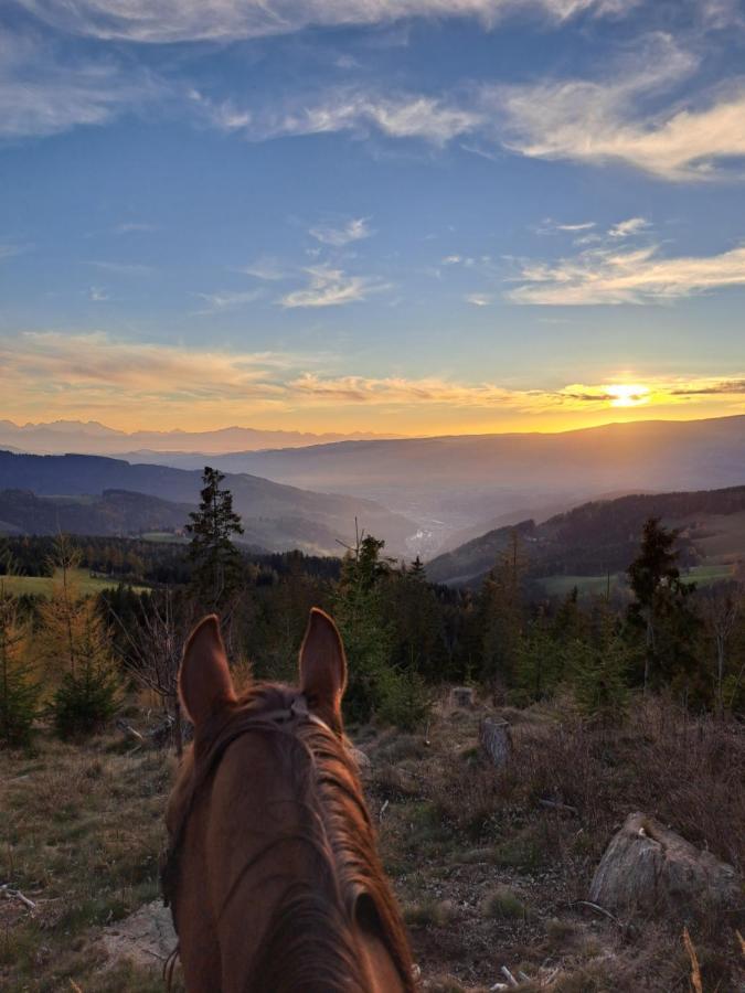 Erlebnisbauernhof Gutschi Ranch Kamp Kültér fotó