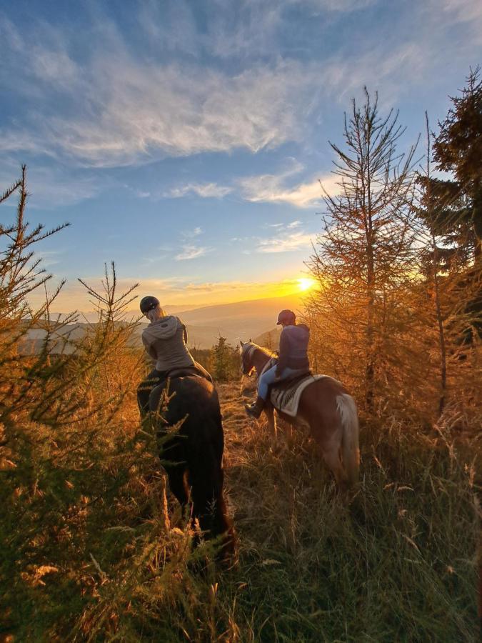 Erlebnisbauernhof Gutschi Ranch Kamp Kültér fotó