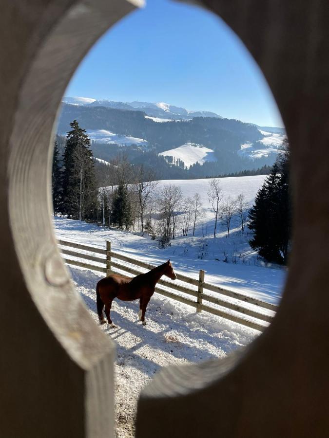 Erlebnisbauernhof Gutschi Ranch Kamp Kültér fotó