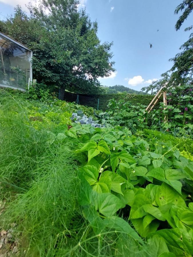 Erlebnisbauernhof Gutschi Ranch Kamp Kültér fotó