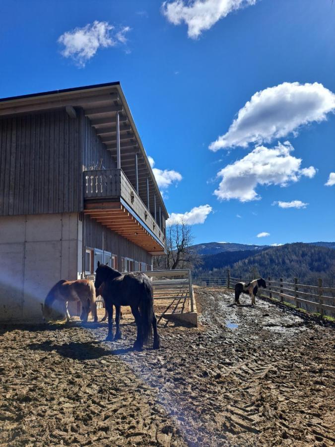 Erlebnisbauernhof Gutschi Ranch Kamp Kültér fotó
