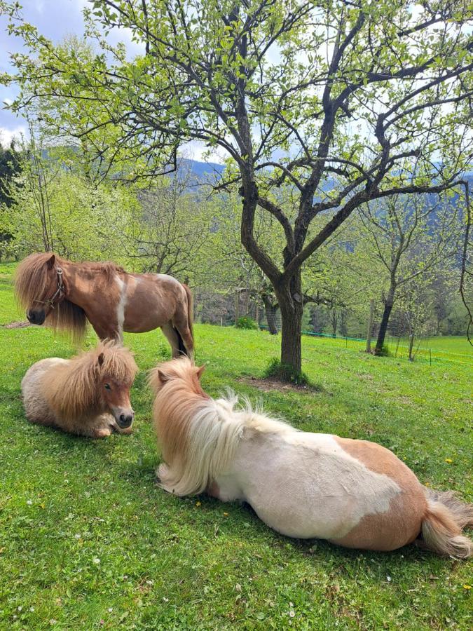 Erlebnisbauernhof Gutschi Ranch Kamp Kültér fotó