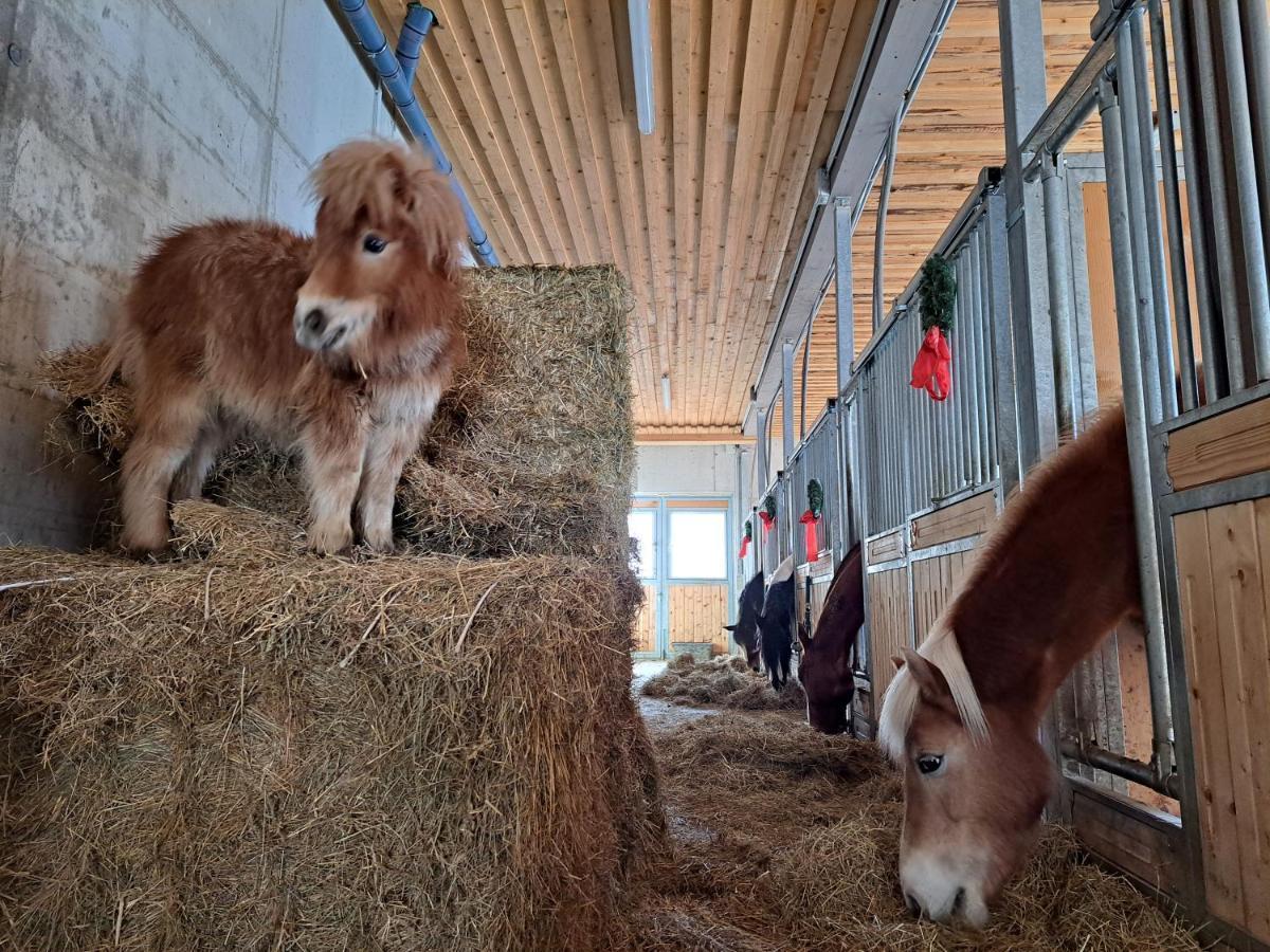 Erlebnisbauernhof Gutschi Ranch Kamp Kültér fotó