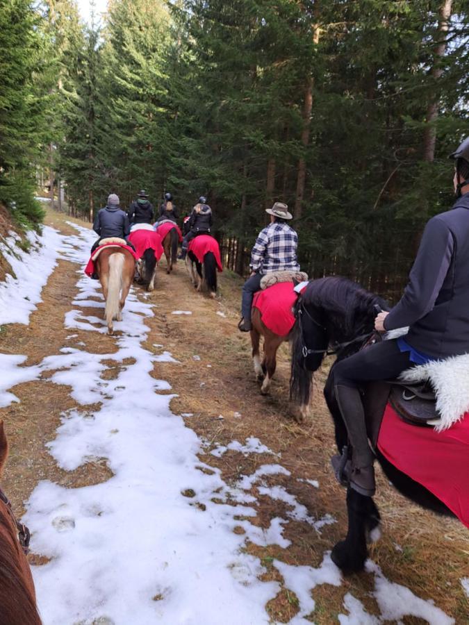 Erlebnisbauernhof Gutschi Ranch Kamp Kültér fotó