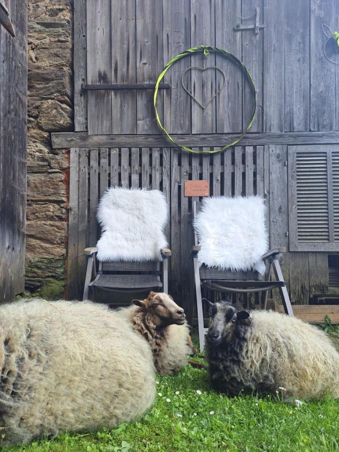 Erlebnisbauernhof Gutschi Ranch Kamp Kültér fotó