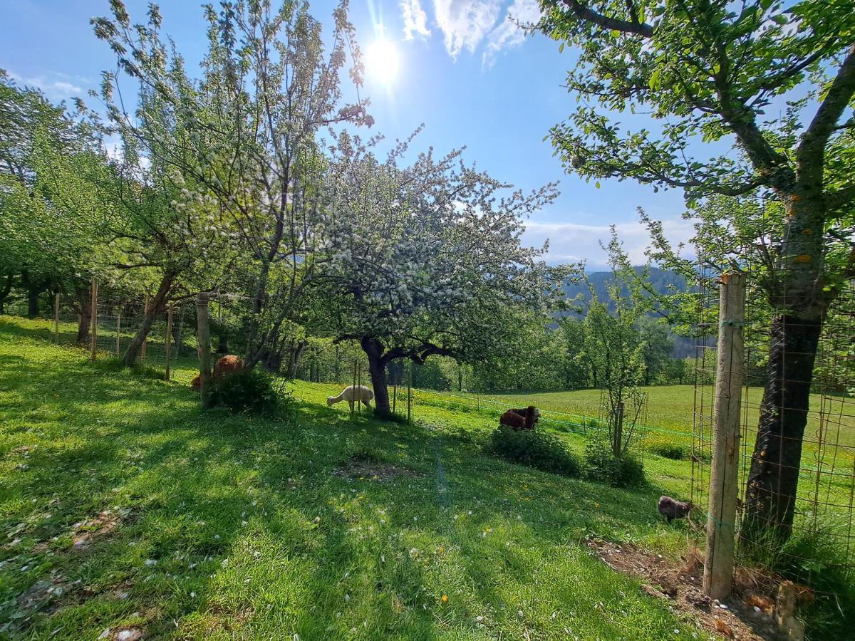 Erlebnisbauernhof Gutschi Ranch Kamp Kültér fotó
