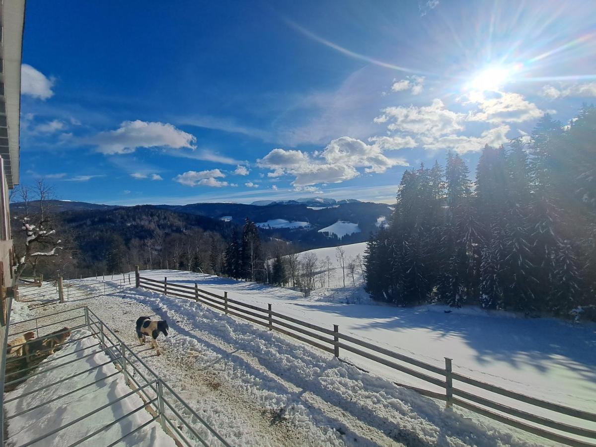 Erlebnisbauernhof Gutschi Ranch Kamp Kültér fotó